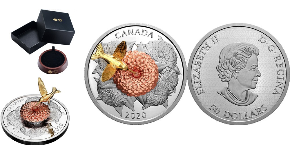 Колибри над цветами Канада 2020