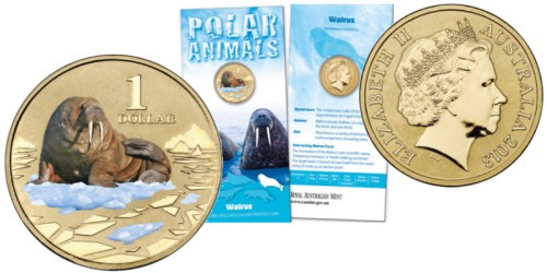 1 доллар 2013 Австралия — Австралийский морж