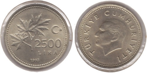 2500 лир 1993 Турция