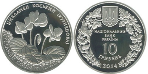 10 гривен 2014 Украина — Цикламен косский (Кузнецова) — серебро