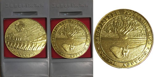 Памятная настольная медаль — Запорожский 700-летний дуб, остров Хортица — Запорізький 700-річний дуб