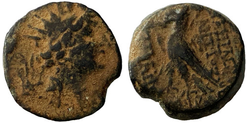 Селевкиды —  Антиох VIII — 121-96 годы до Р.Х. №1