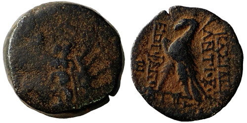 Селевкиды —  Антиох VIII — 121-96 годы до Р.Х. №3