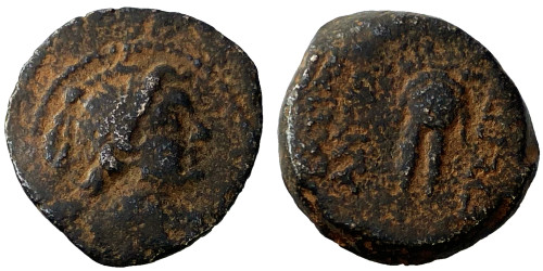 Селевкиды —  Клеопатра Тея и Антиох VIII — 125-121 годы до Р.Х.