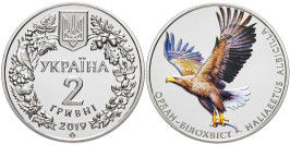 2 гривны 2019 Украина — Орлан-белохвост (Орлан-білохвіст)